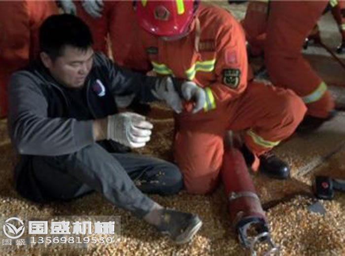草莓视频在线免费下载安全操作